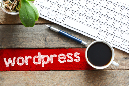 The 50 Most Popular Wordpress Plugins 2016